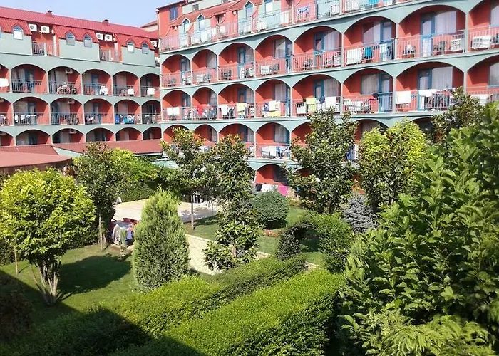 Kokiche Słoneczny Brzeg