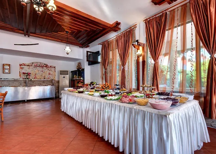 Kokiche Słoneczny Brzeg